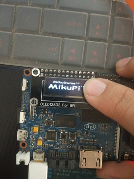 Oled12832-2.jpg