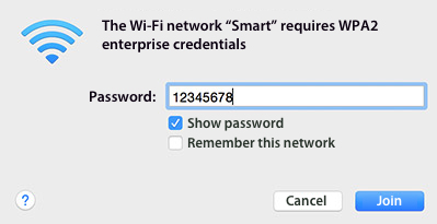 Smart-02-03.jpg