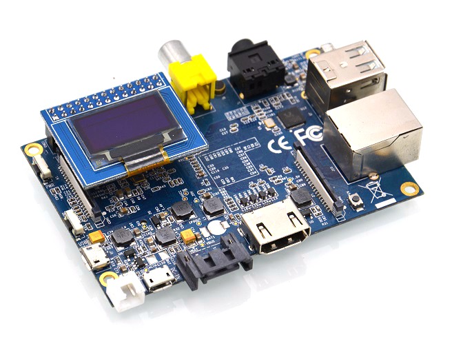 BPI-OLED 3.JPG