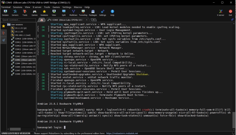 Log export-4.jpg